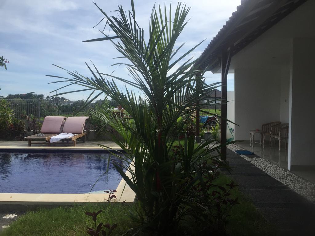 Pererenan Nengah Guest House Canggu Exteriér fotografie